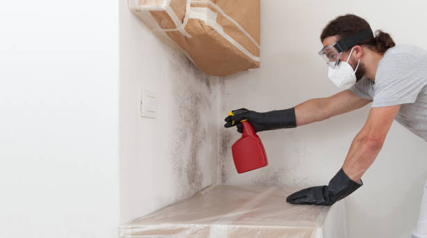 Professional Mold Removal technician working in Wyckoff, NJ
