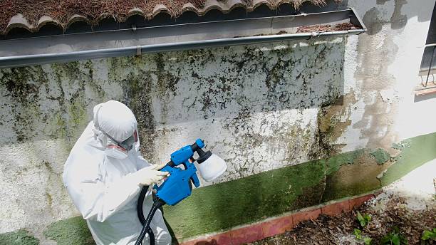 Trusted Mold Testing service in Wyckoff, NJ - Cheap Mold Removal